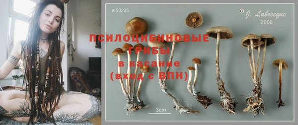2c-b Вязьма