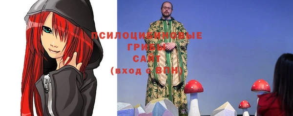 ALPHA-PVP Вяземский
