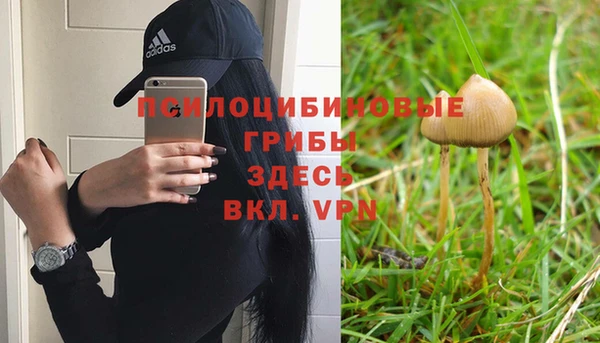 ALPHA-PVP Вяземский