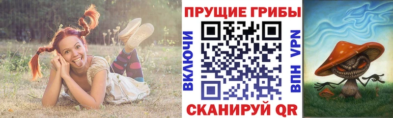 Псилоцибиновые грибы мицелий  Осташков 